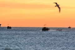 Gibraltar - Operation Sea Snake sees tanks and Royal Marines land on Eastern Beach