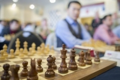 open-tradewise-de-ajedrez-de-gibraltar_16200460329_o