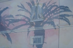 sombra-de-una-palmera_17682911541_o