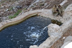 img_8397_19463466443_o