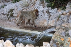 img_8456_20090013791_o
