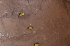 img_8861_19520491373_o