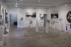 inauguracin-exposicin-vctor-quintanilla-en-gibraltar_25756486902_o