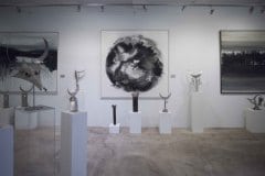 inauguracin-exposicin-vctor-quintanilla-en-gibraltar_25851362566_o