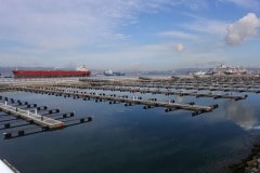 160421 - Inauguración de la nueva marina en Gibraltar para barcos pequeños