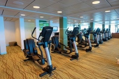 Escala-inaugural-del-crucero-Ovation-of-the-Seas-16
