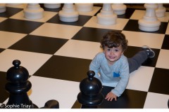 actividades-paralelas-al-open-de-ajedrez-de-gibraltar_32313277290_o