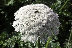 img_4803_41863362271_o