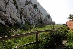 img_4805_26995115337_o