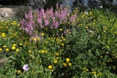 img_4885_27994663318_o