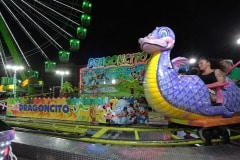 img_1528_43725778095_o