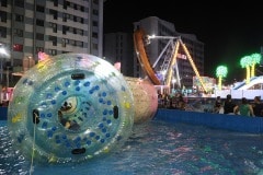 img_1552_43725760715_o