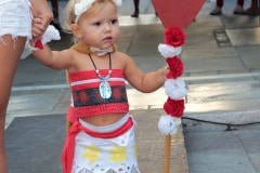 img_2948_30732455928_o