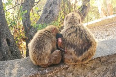 23-jun-2019-blogueros-espaoles-de-viajes-visitan-el-pen_48114554022_o