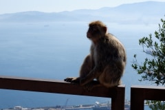 23-jun-2019-blogueros-espaoles-de-viajes-visitan-el-pen_48131094733_o