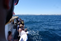 23-jun-2019-blogueros-espaoles-de-viajes-visitan-el-pen_48131099058_o