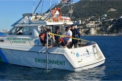 medio-ambiente-4-storm-petrel_48859908382_o