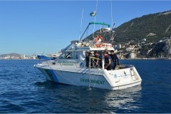 medio-ambiente-5-storm-petrel_48859357838_o