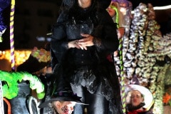 2g9a3950_49336910632_o