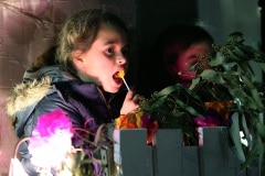 2g9a3955_49336690961_o