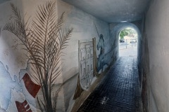 7u3a9751_50033001402_o