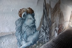 7u3a9757_50033001332_o