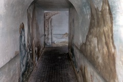 7u3a9809_50033001857_o