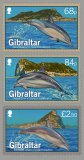 2014-Dolphins-of-Gibraltar