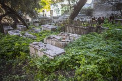 restauracin-cementerio-witham-13_25359117402_o