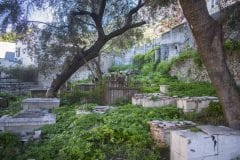 restauracin-cementerio-witham-17_25384709211_o