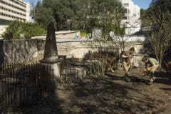 restauracin-cementerio-witham-25_24850852643_o