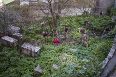 restauracin-cementerio-witham-27_25451433736_o