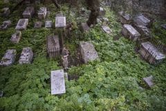 restauracin-cementerio-witham-28_25451433346_o