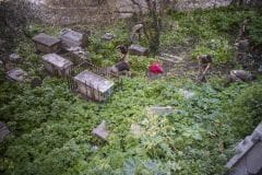 restauracin-cementerio-witham-30_25451432676_o