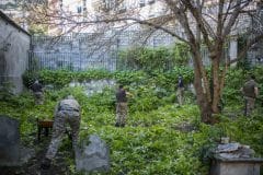 restauracin-cementerio-witham-7_25110008999_o