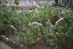 cementerio-de-trafalgar-gibraltar_22123438113_o