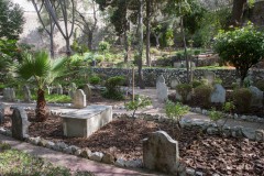 cementerio-de-trafalgar-gibraltar_22556724680_o