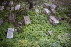 restauracin-cementerio-witham-29_25477575695_o