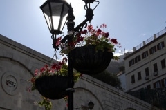 img_1917_39633888391_o