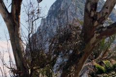 img_3472_39603001962_o