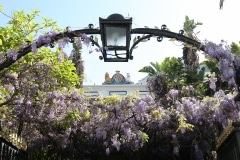 img_6902_39633808891_o