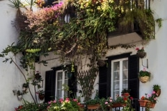 main-street-0430_24765683727_o