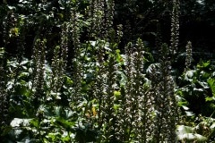 img_0013_20071490779_o