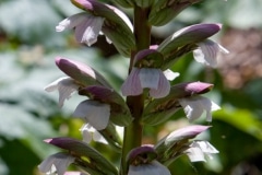 img_0015_20071485839_o
