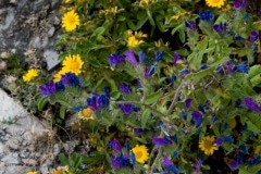img_0125_20070075978_o