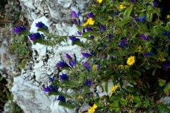 img_0126_20263917161_o