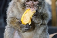 img_8427_27855802729_o