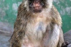 img_8444_24765364217_o