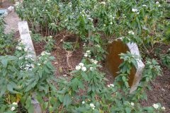 20150911_102103000_ios_22744394935_o