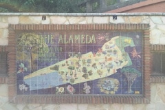 Alameda-13